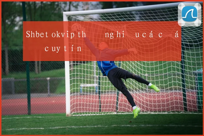Shbet okvip thương hiệu cá cược uy tín