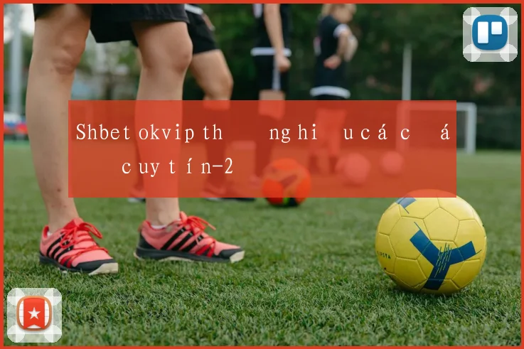Shbet okvip thương hiệu cá cược uy tín